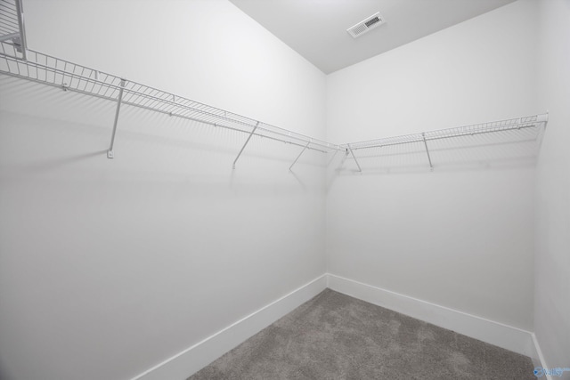 walk in closet featuring carpet flooring