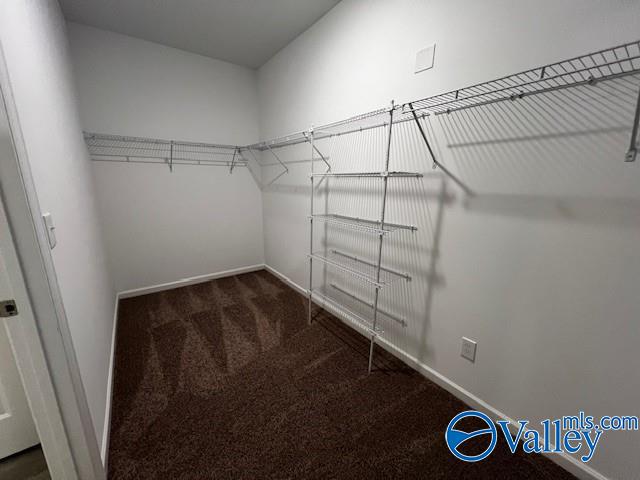 spacious closet with dark carpet