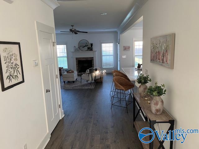 hallway featuring dark hardwood / wood-style floors and crown molding