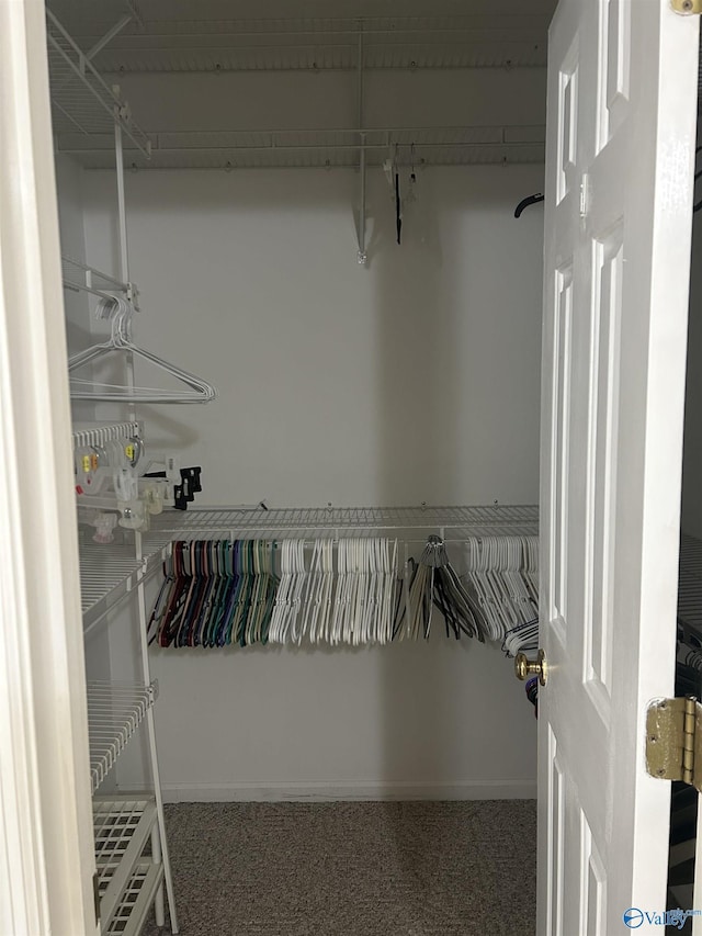 view of walk in closet