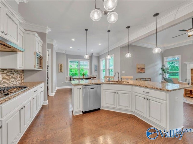 kitchen with decorative backsplash, dark wood-type flooring, white cabinetry, a sink, and stainless steel appliances