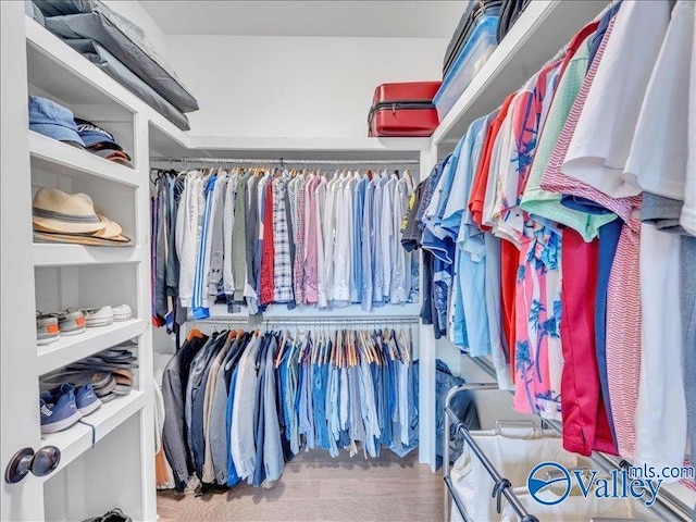 walk in closet featuring wood finished floors
