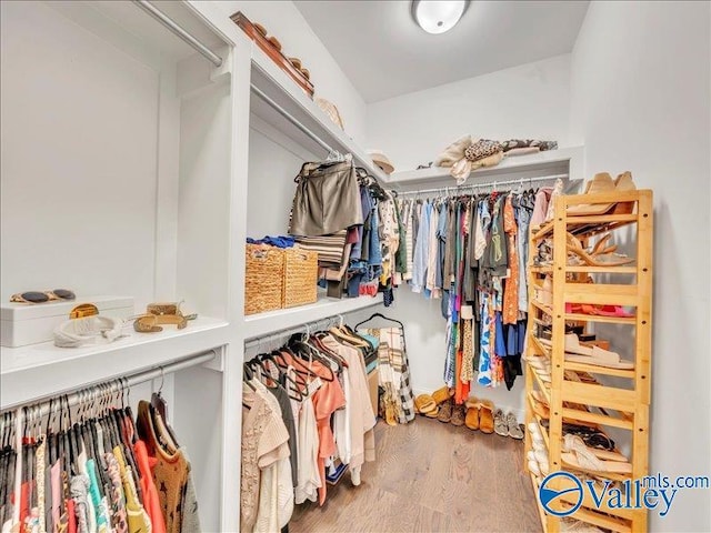 spacious closet featuring wood finished floors