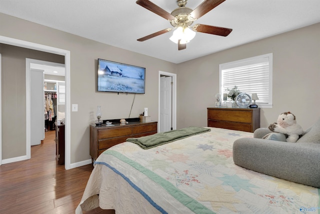 bedroom with ceiling fan, a walk in closet, and hardwood / wood-style flooring