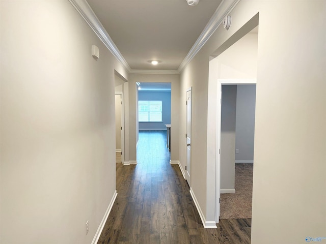 hall featuring dark wood-style floors, baseboards, and ornamental molding