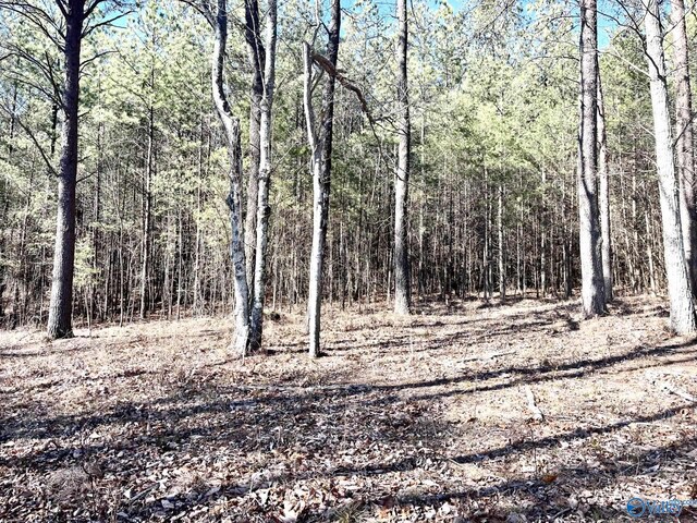 3945 Crockett Pointe, Jasper, TN 37347