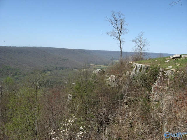3945 Crockett Pointe, Jasper, TN 37347