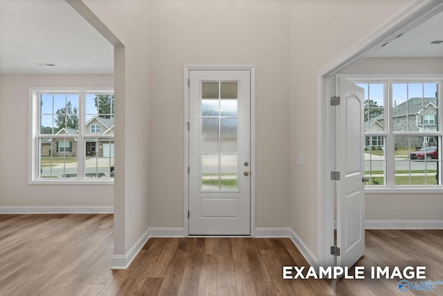 foyer with light hardwood / wood-style flooring and plenty of natural light