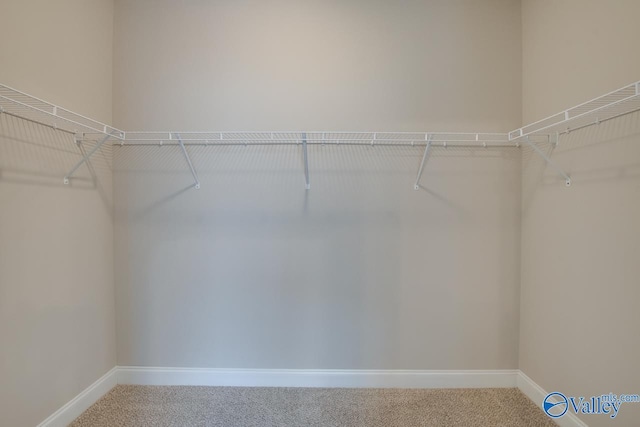 108 Ivy Vine Dr, Toney, AL 35773 - walk in closet with carpet floors