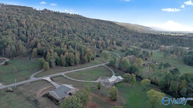 drone / aerial view featuring a mountain view