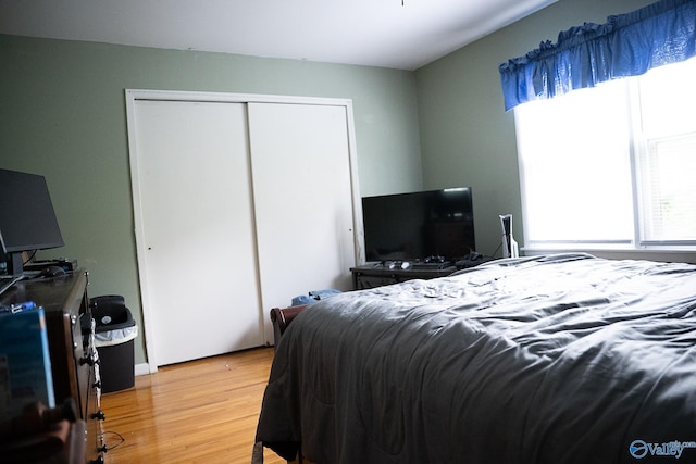 1021 NW 9th St NW, Arab, AL 35016 - bedroom featuring light wood-type flooring and a closet