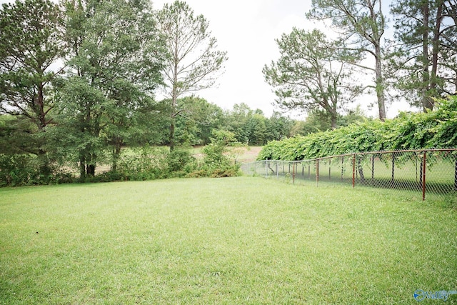 1021 NW 9th St NW, Arab, AL 35016 - view of yard