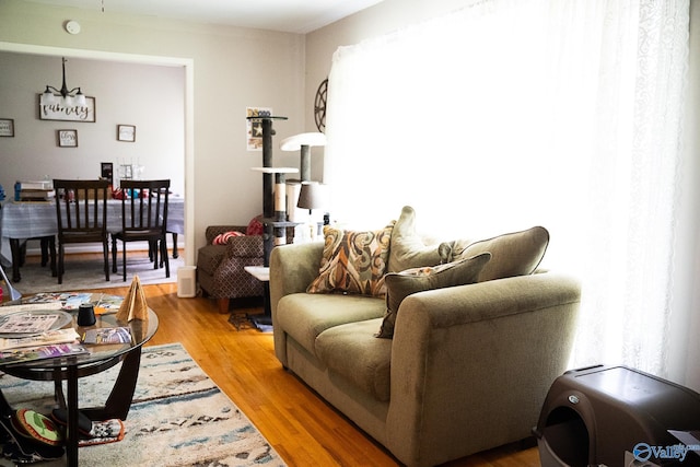 1021 NW 9th St NW, Arab, AL 35016 - living area featuring wood finished floors