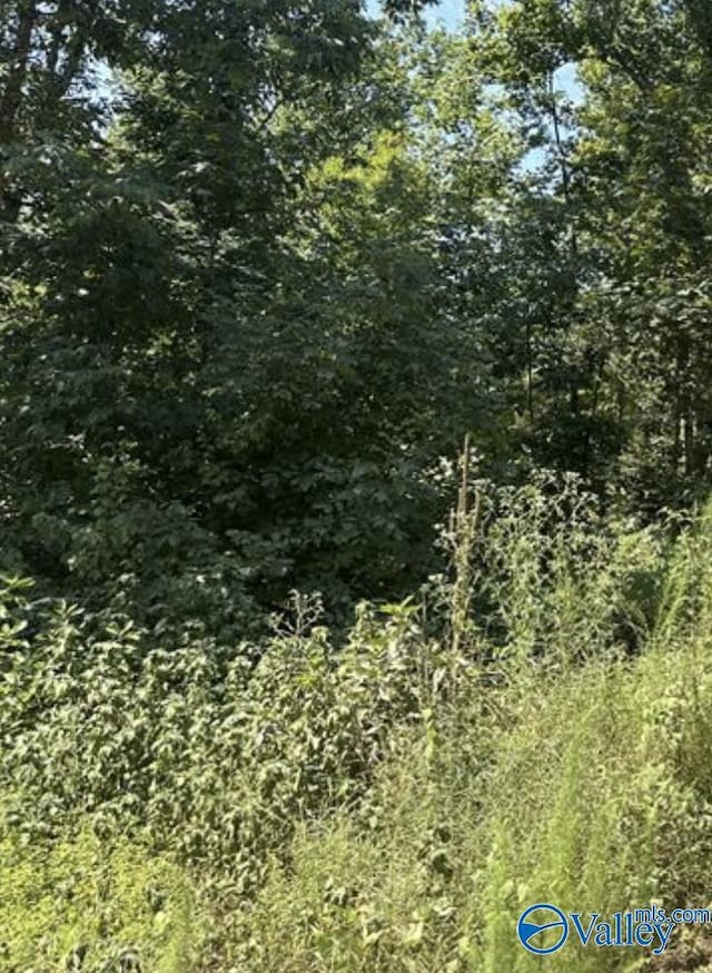 2.66ACRES Blackburn Rd, Athens, AL 35611
