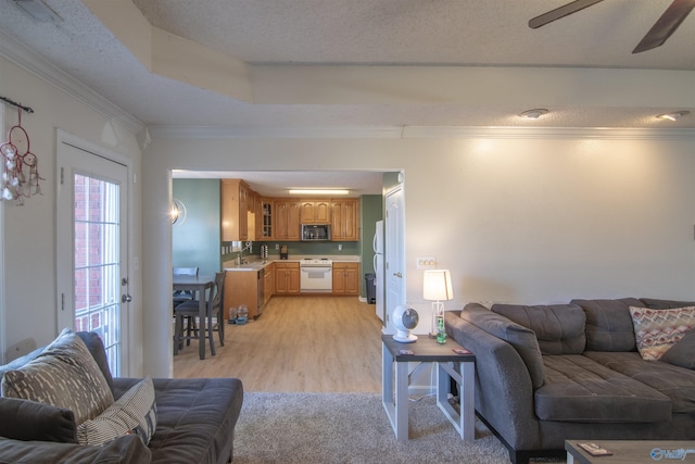 living room with ornamental molding, sink, a textured ceiling, and light hardwood / wood-style flooring