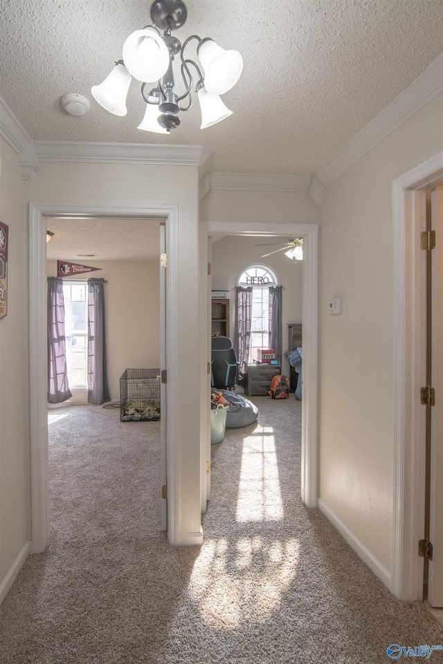 corridor featuring crown molding, a textured ceiling, and carpet