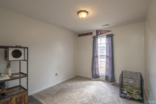 spare room featuring carpet and a textured ceiling