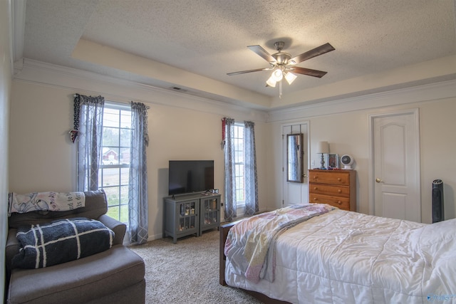 carpeted bedroom featuring multiple windows, a tray ceiling, and a textured ceiling