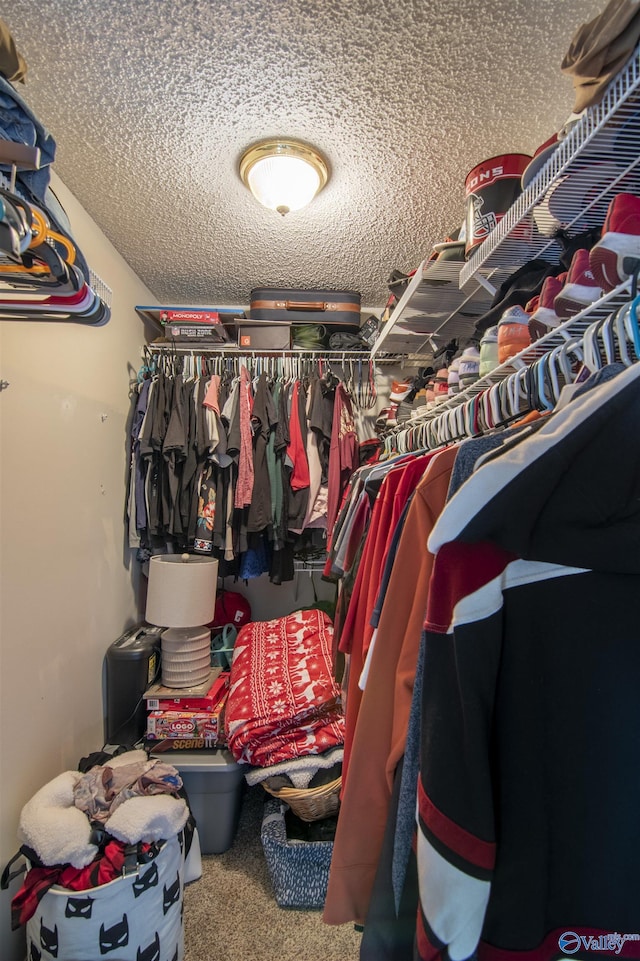 spacious closet with carpet floors