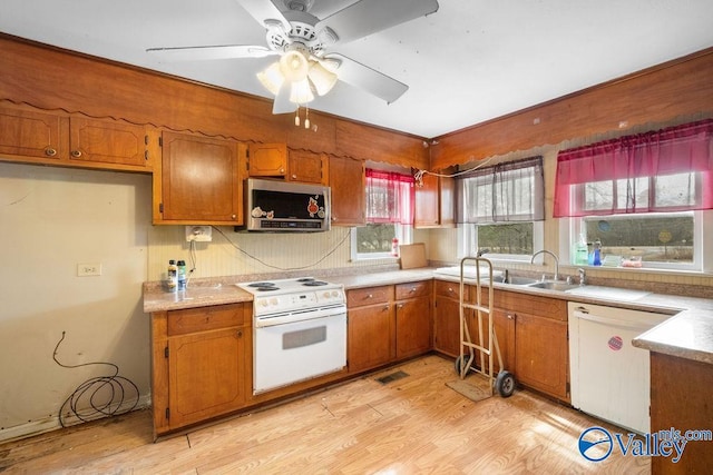 kitchen with ceiling fan, light wood-type flooring, sink, and white appliances