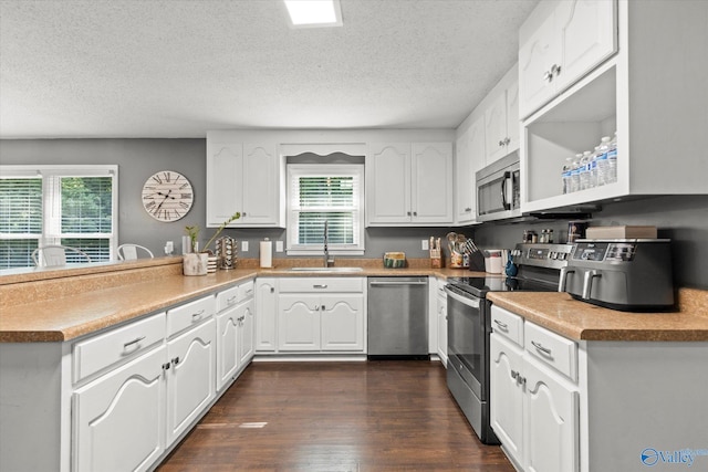 kitchen with appliances with stainless steel finishes, dark hardwood / wood-style flooring, a wealth of natural light, and sink