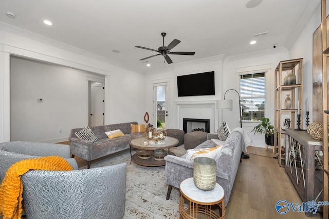 living room featuring ceiling fan and light hardwood / wood-style flooring