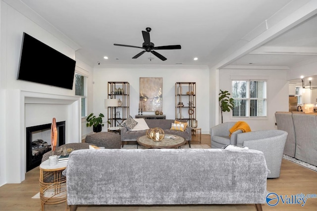 living room with ceiling fan, light hardwood / wood-style floors, and ornamental molding