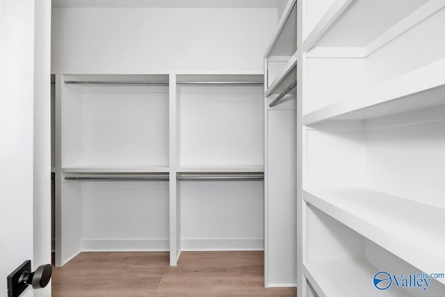 spacious closet featuring light wood-type flooring