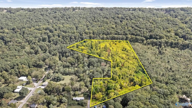 14.34AC Church St, Valley Head AL, 35989 land for sale