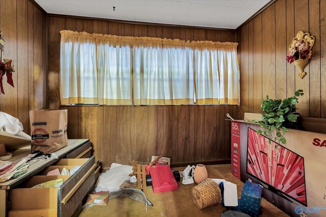 miscellaneous room featuring carpet and wooden walls