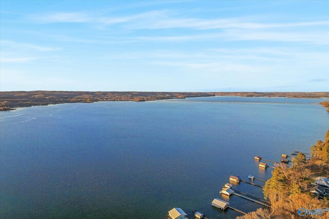 property view of water featuring a boat dock