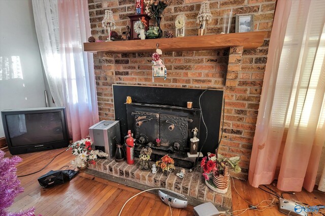 details featuring a fireplace and wood-type flooring