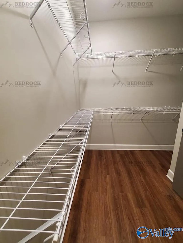 walk in closet with dark wood-type flooring