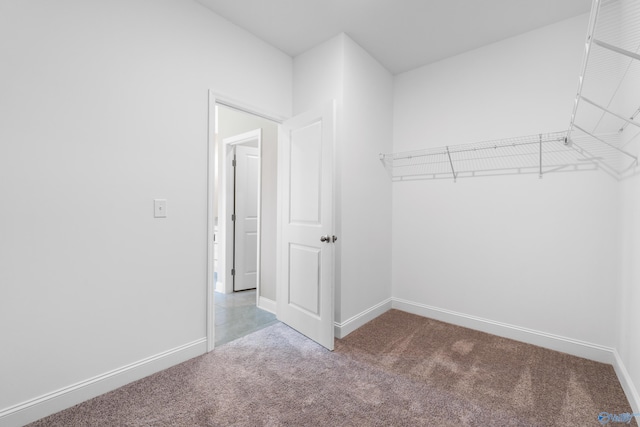 walk in closet with carpet floors