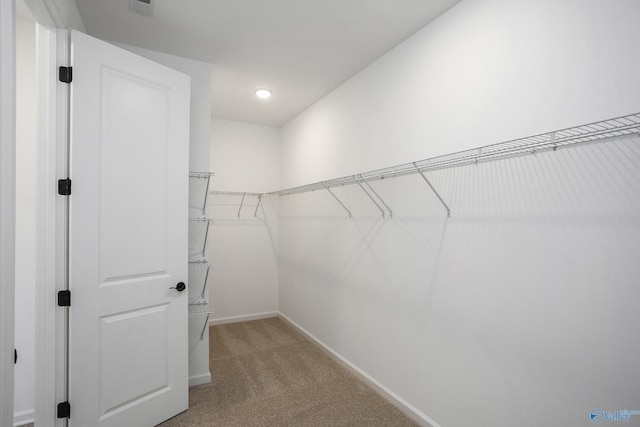 walk in closet with carpet