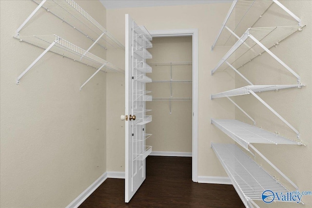 walk in closet with wood finished floors