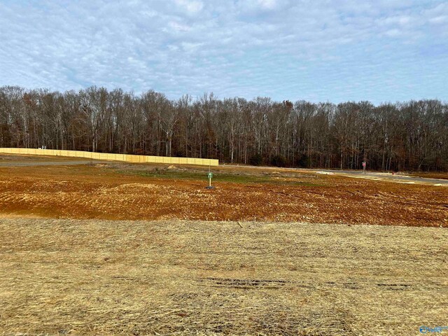 LOT1 Saban Ln, Athens, AL 35613