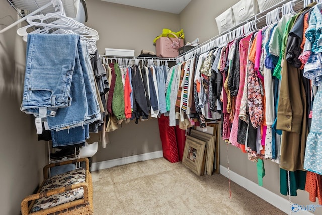 walk in closet featuring carpet flooring