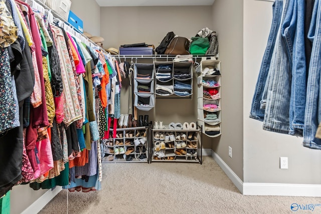 spacious closet featuring carpet floors