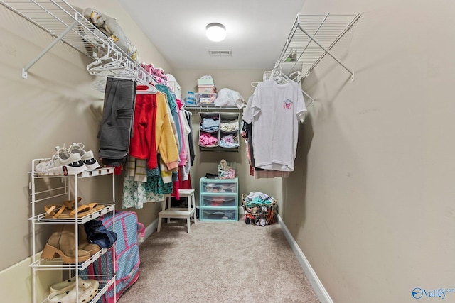 walk in closet featuring carpet flooring and visible vents
