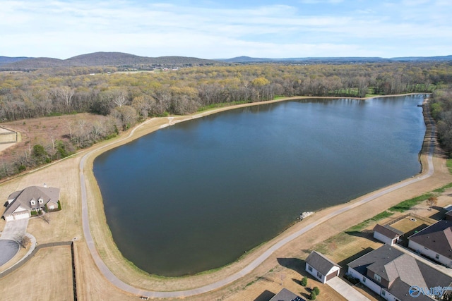 birds eye view of property with a water view and a view of trees