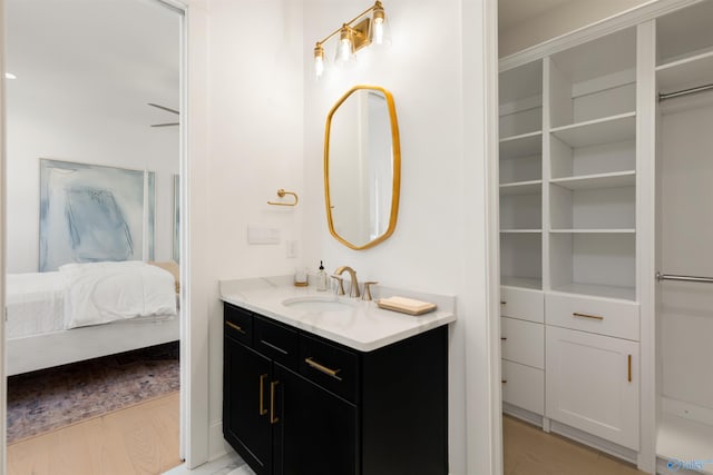 bathroom with wood-type flooring and vanity