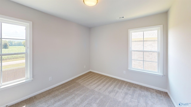 209 Roman Randall Rd, New Market, AL 35761 - empty room featuring visible vents, baseboards, and light colored carpet