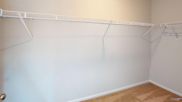 209 Roman Randall Rd, New Market, AL 35761 - spacious closet with carpet