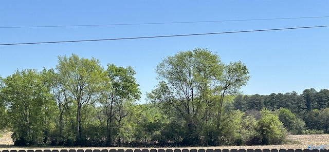 209 Roman Randall Rd, New Market, AL 35761 - view of yard