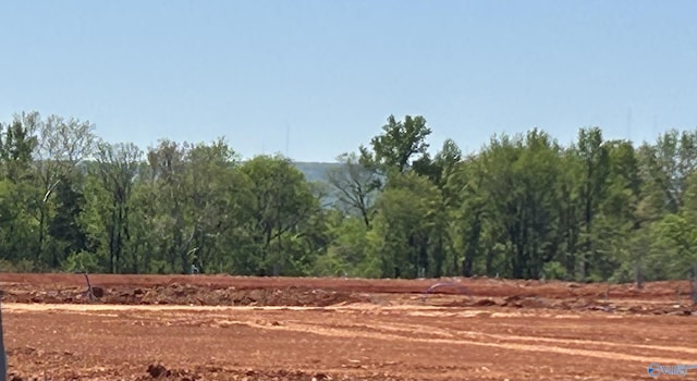 209 Roman Randall Rd, New Market, AL 35761 - view of nature featuring a forest view