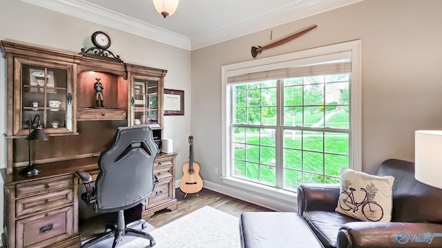 10 Verdant Cir SE, Huntsville, AL 35803 - office space featuring ornamental molding, light wood-type flooring, and baseboards