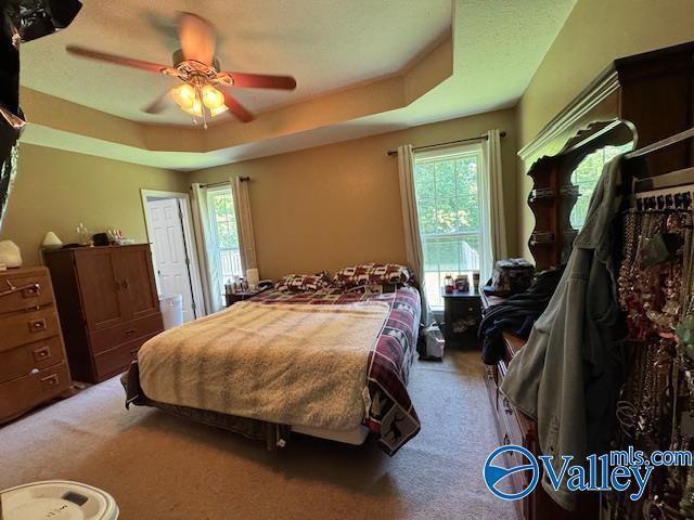 117 Simmons Cir, Fayetteville, TN 37334 - carpeted bedroom featuring multiple windows, a tray ceiling, and a ceiling fan
