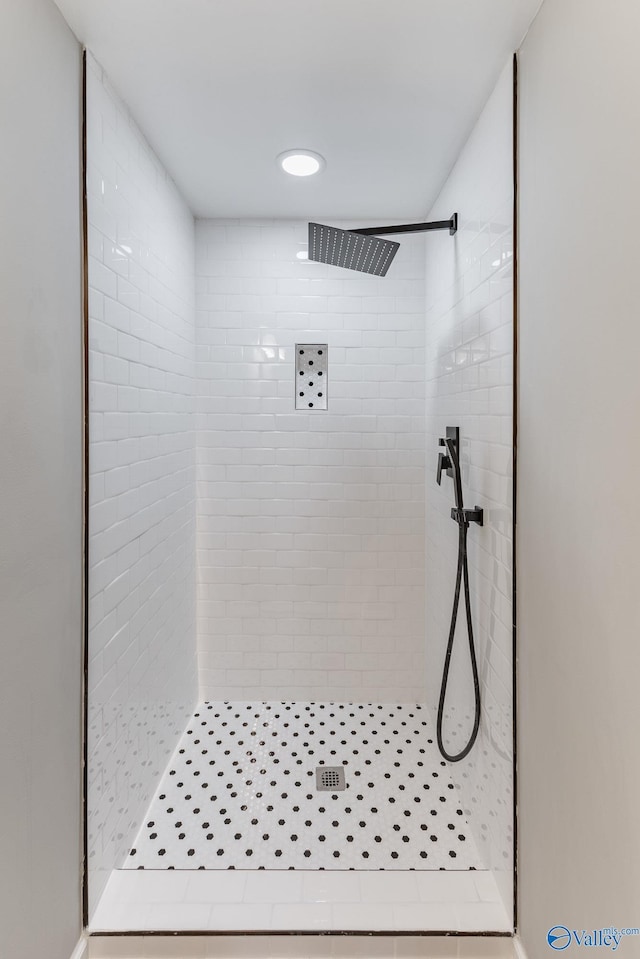 bathroom featuring a shower stall
