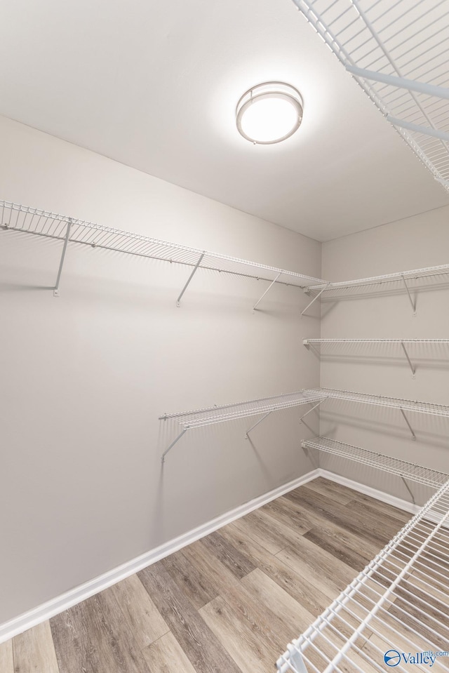 walk in closet featuring wood finished floors